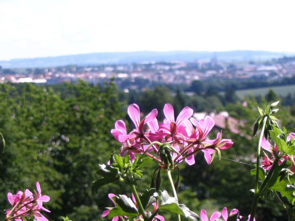 Penzion Kalina Tábor Oda fotoğraf